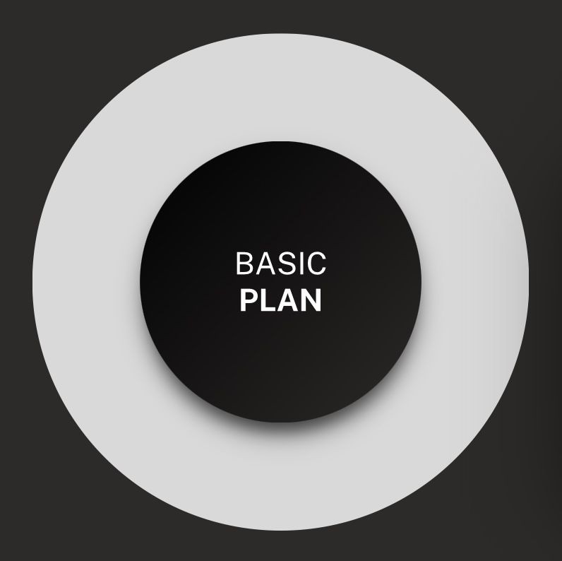 Basic Plan (Online Coaching)